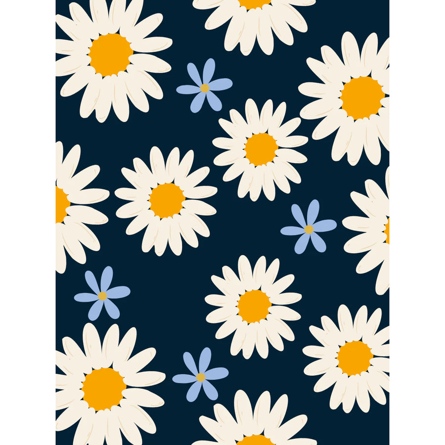 Daisy Blank Inside Post Card